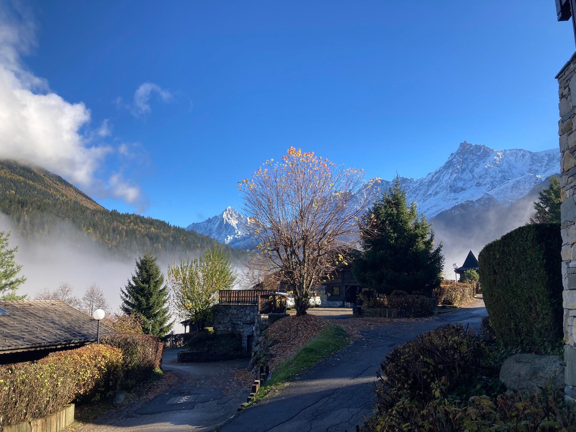 2 rooms - Residence LES HAUTS DE CHAVANTS - ref H795 - 9